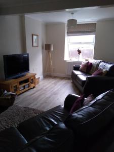 salon z kanapą i telewizorem z płaskim ekranem w obiekcie Escape to Anglesey, Dog Friendly w mieście Llangoed