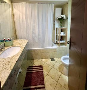a bathroom with a sink and a toilet and a shower at Al Warqa Dubai Delight 1-Bedroom Apt for Monthly or Daily Stays in Dubai