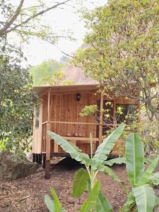 a small wooden house in the middle of a forest at Macheta Climbing House in Machetá