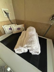 a white towel sitting on top of avisor in a shower at Stylish Downtown Apartment in Podgorica