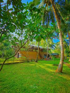 einen Hof mit zwei Palmen und einem Haus in der Unterkunft River Edge Safari Cottage in Udawalawe