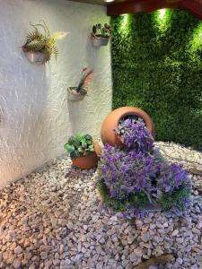 a garden with flowers and potted plants next to a wall at Hotel Ciudad de Vitoria in Santiago