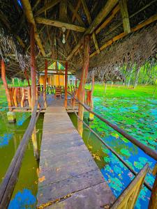 a wooden bridge over a body of water at River Edge Safari Cottage in Udawalawe