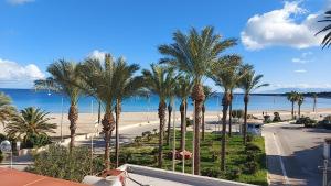 a view of a beach with palm trees and the ocean at Casa "da Paola" in San Vito lo Capo