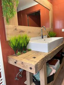 a bathroom with a white sink and a mirror at La tanière in La Broque +12 photos