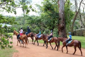 a group of people riding horses down a dirt road at Mabuda Guest Farm in Stegi