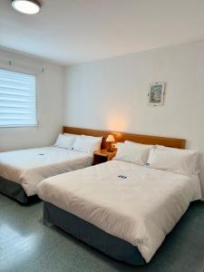 a hotel room with two beds and a window at Residencia Mediterraneo in San Vicente del Raspeig +86 photos