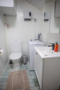 a white bathroom with a toilet and a sink at Huoneisto Toloppa in Ranua