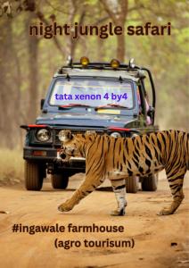 a tiger standing in front of a car at Ingawale farmhouse (agro tourism) in Satara