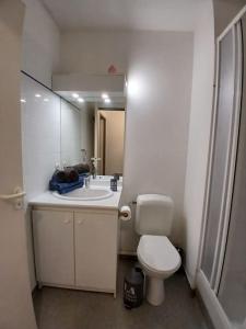 ein Badezimmer mit einem WC, einem Waschbecken und einem Spiegel in der Unterkunft Studio cosy au cœur de Nîmes. in Nîmes