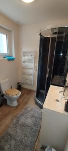 een badkamer met een douche, een toilet en een wastafel bij Le Valentin in Eaux-Bonnes