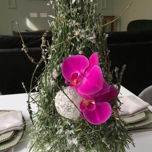 a vase with purple flowers on a table at Villa Sérénité appartement au centre ville n 5 in Lourdes