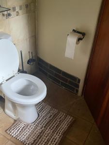 a bathroom with a toilet and a roll of toilet paper at Sgele Guesthouse & Events in Vryheid