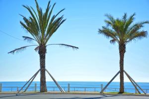 zwei Palmen mit einem Metallrahmen vor dem Meer in der Unterkunft Le Richemond - 50m de la MER in Nizza