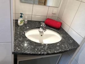 eine Badezimmertheke mit einem Waschbecken und einem roten Schwamm in der Unterkunft Viktoria in Koblenz