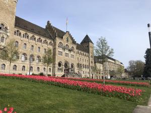 ein großes Gebäude mit roten Tulpen davor in der Unterkunft Viktoria in Koblenz