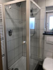 y baño con ducha y puerta de cristal. en Viktoria, en Coblenza