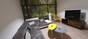 ein Wohnzimmer mit einem Sofa und einem Flachbild-TV in der Unterkunft Gîte et Spa 21 in Savigny-le-Sec
