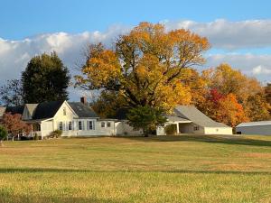 a white house with a tree in a field at Donkeytown at Turner Farms in Heltonville