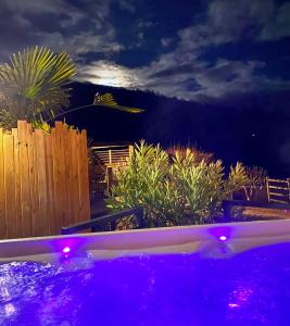 a pool with purple lights in a backyard at night at Chambre au calme avec spa privatif gratuit sud aveyron les palmiers des causses in Saint-Rome-de-Tarn