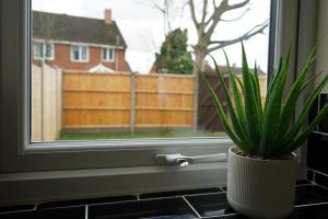 a potted plant sitting on a window sill at SwiftStayUK - 3-Bed fully furnished house near Wolverhampton, Walsall, Cannock - Contractors & Professional workers & Leisure in Pelsall