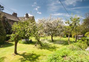 a group of apple trees in a yard at 3 Bed in Eskdale SZ403 in Santon Bridge