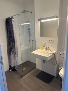 a bathroom with a sink and a shower at Al Nafurah Apartments in Munich