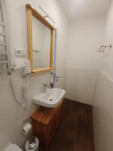 bagno con lavandino, specchio e servizi igienici di Ferienwohnung an der Brauerei a Sebnitz
