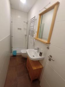 Ένα μπάνιο στο Ferienwohnung an der Brauerei