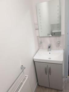 克利夫羅的住宿－Garnett - Comfy apartment, great location!，白色的浴室设有水槽和镜子