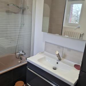 a bathroom with a sink and a mirror and a tub at Au rayon du soleil in Roye +13 photos