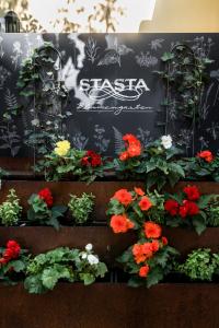Fotografie z fotogalerie ubytování Der Stasta ve Vídni