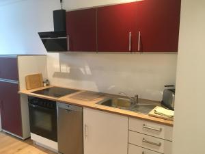 cocina con fregadero y fogones en Das kleine gemütliche Apartment direkt am Wald, en Oldenburg