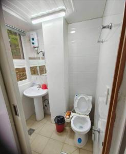 バギオにあるStudio Condo near Burnhamのトイレと洗面台のある小さなバスルーム