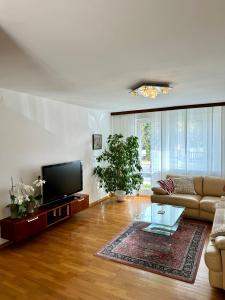 a living room with a couch and a tv at Central Villa with Garden in Ljubljana