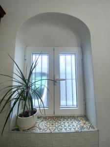Fotografie z fotogalerie ubytování Casa Calle v destinaci Vejer de la Frontera