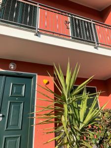 a house with a green door and a plant at MarMolí in Villanova dʼAsti