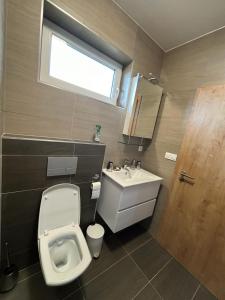 ein Badezimmer mit Toilette und Waschbecken und einem Fenster in der Unterkunft Apartmány u pláže Lipna - Malé Lipno in Černá v Pošumaví