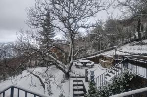 Estrella de nieve v zime