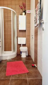 a bathroom with a toilet and a red rug at APARTMAN SILVA in Biograd na Moru