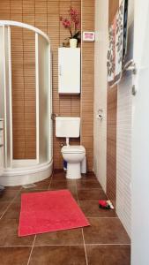 Ένα μπάνιο στο APARTMAN SILVA