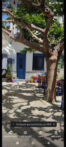a tree in front of a building with tables and chairs at Σπίτι στην παραδοσιακή πλατεία. in Kámpos