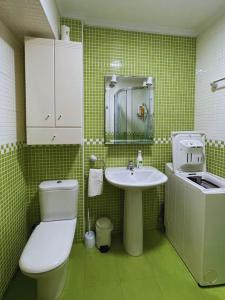 bagno verde con servizi igienici e lavandino di Apartamentos Melgarden - Campo del Marqués a Santoña