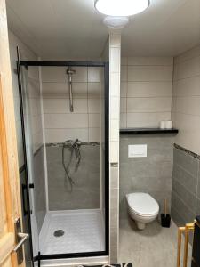 a bathroom with a shower and a toilet at L'OURSIERE à Saint MAMET in Saint-Mamet