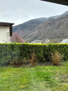a hedge with yellow flowers in front of a mountain at L'OURSIERE à Saint MAMET in Saint-Mamet
