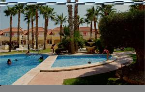 プレヤス・デ・オリフエラにあるCozy Home In Orihuela Costa With Outdoor Swimming Poolのヤシの木と水中の人々が泳ぐプール