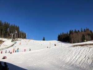 a group of people skiing down a snow covered slope at Chaloupka u Jiřího in Nová Pec