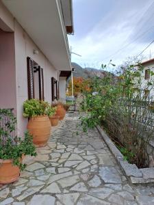 a stone walkway with potted plants next to a building at Kontolati's Mountain House in Graviá