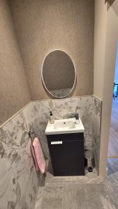 a bathroom with a sink and a mirror at Modern country charm apartment. in Mullingar