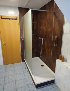 a shower with a glass door in a bathroom at tAllhouse in Eggolsheim